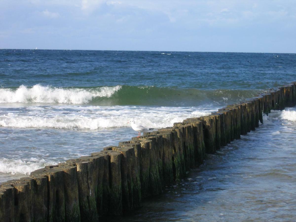 "Strand-Gut" Lägenhet Börgerende-Rethwisch Exteriör bild