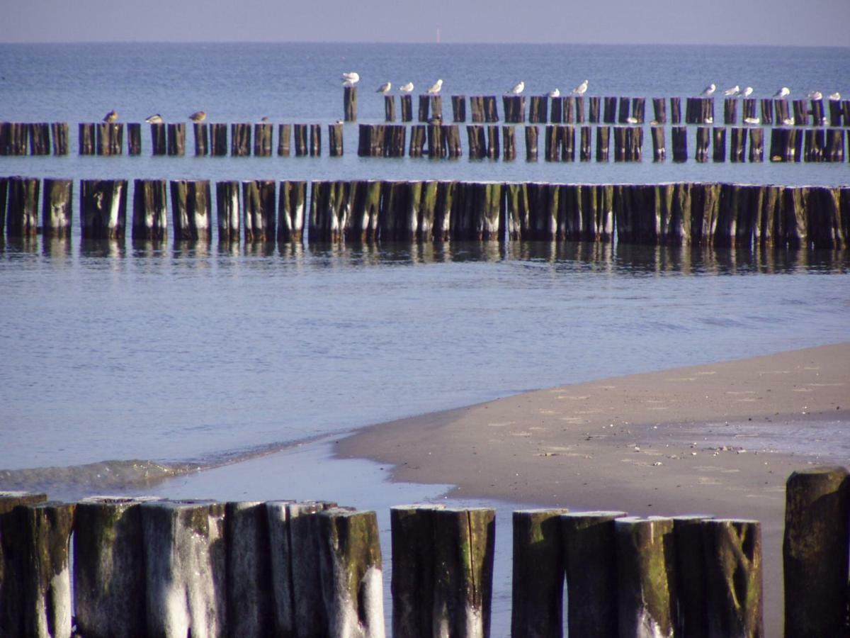 "Strand-Gut" Lägenhet Börgerende-Rethwisch Exteriör bild